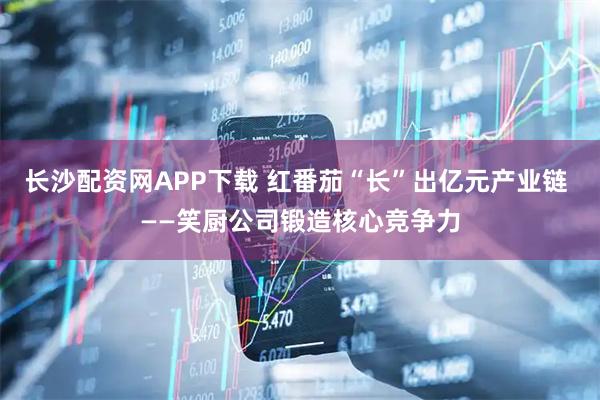 长沙配资网APP下载 红番茄“长”出亿元产业链 ——笑厨公司锻造核心竞争力
