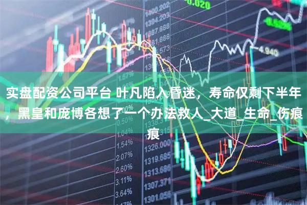 实盘配资公司平台 叶凡陷入昏迷，寿命仅剩下半年，黑皇和庞博各想了一个办法救人_大道_生命_伤痕