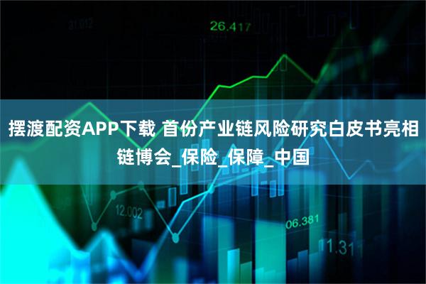 摆渡配资APP下载 首份产业链风险研究白皮书亮相链博会_保险_保障_中国