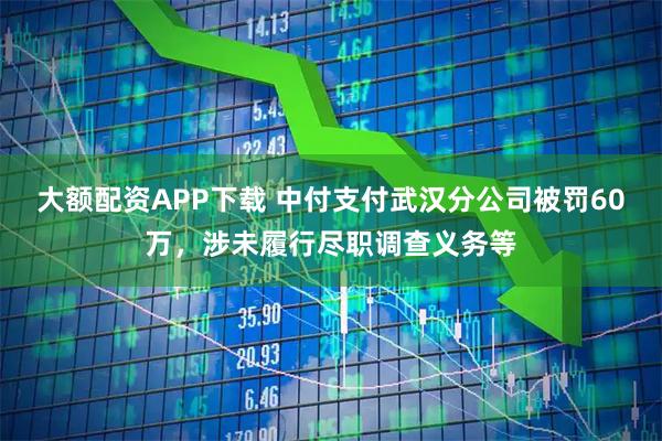 大额配资APP下载 中付支付武汉分公司被罚60万，涉未履行尽职调查义务等