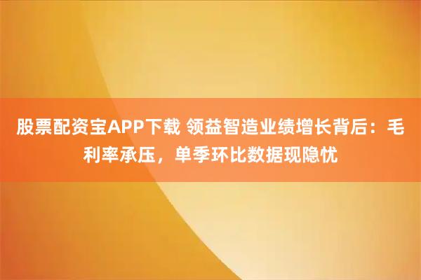 股票配资宝APP下载 领益智造业绩增长背后：毛利率承压，单季环比数据现隐忧